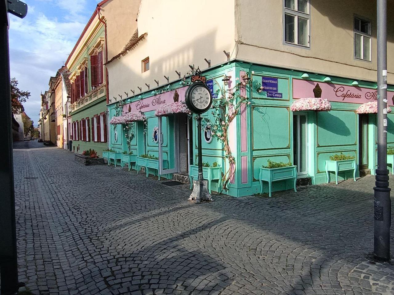 Old Town Cozy Nest *
